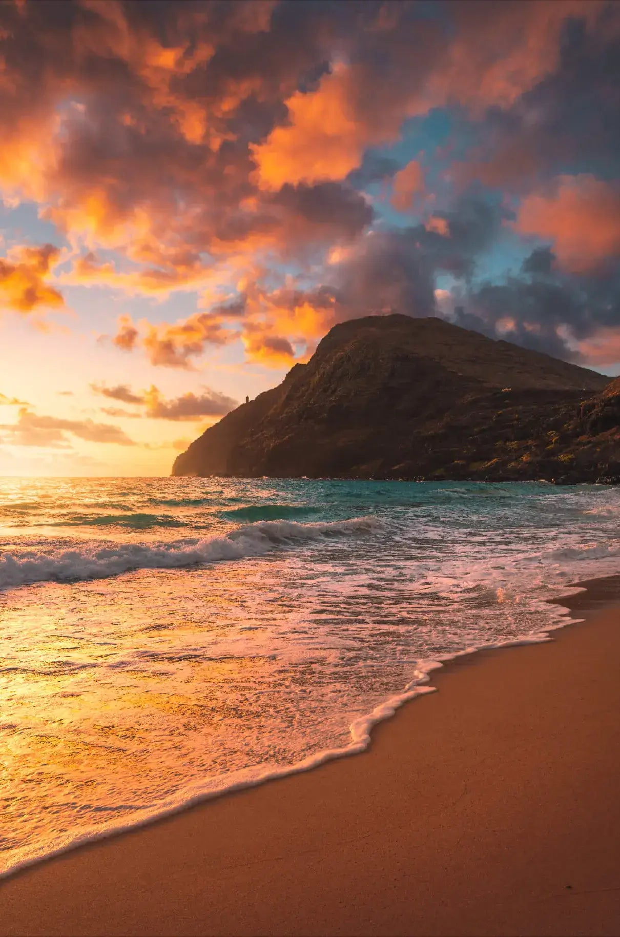 Coastal Warmth
