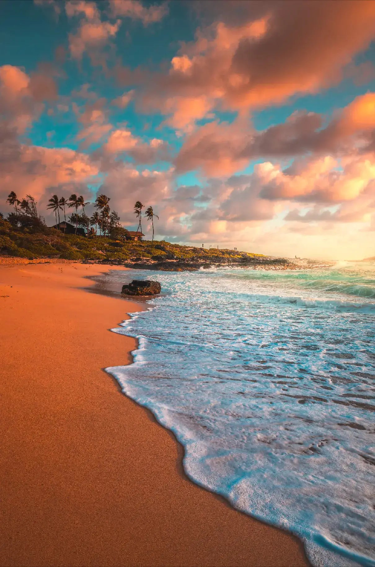 Coastal Serenity