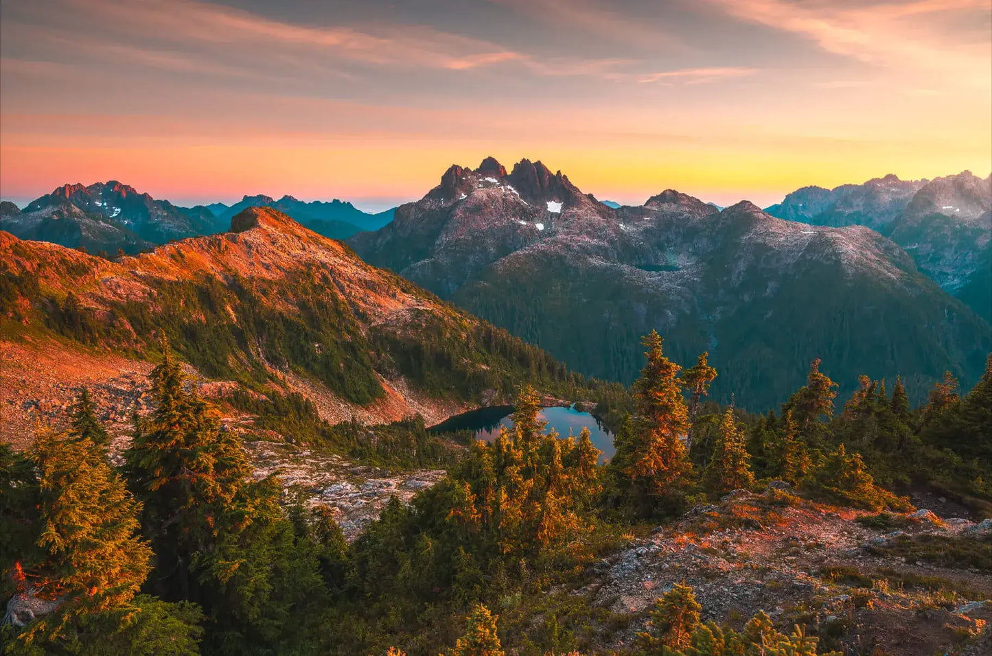 Allure of the Alpines