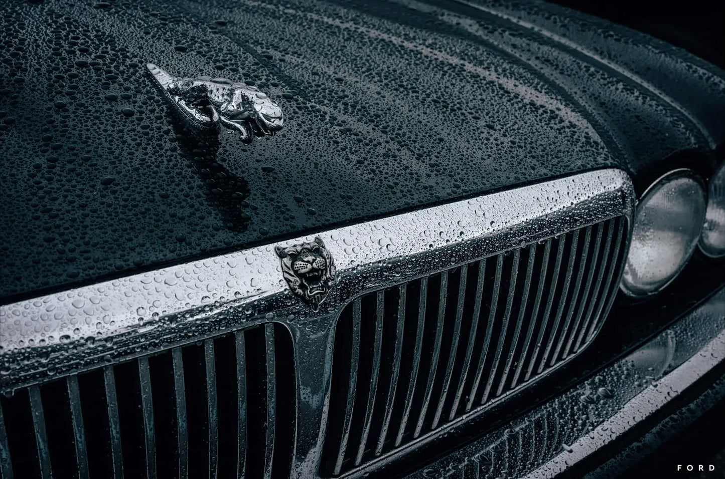 Mick Jaguar