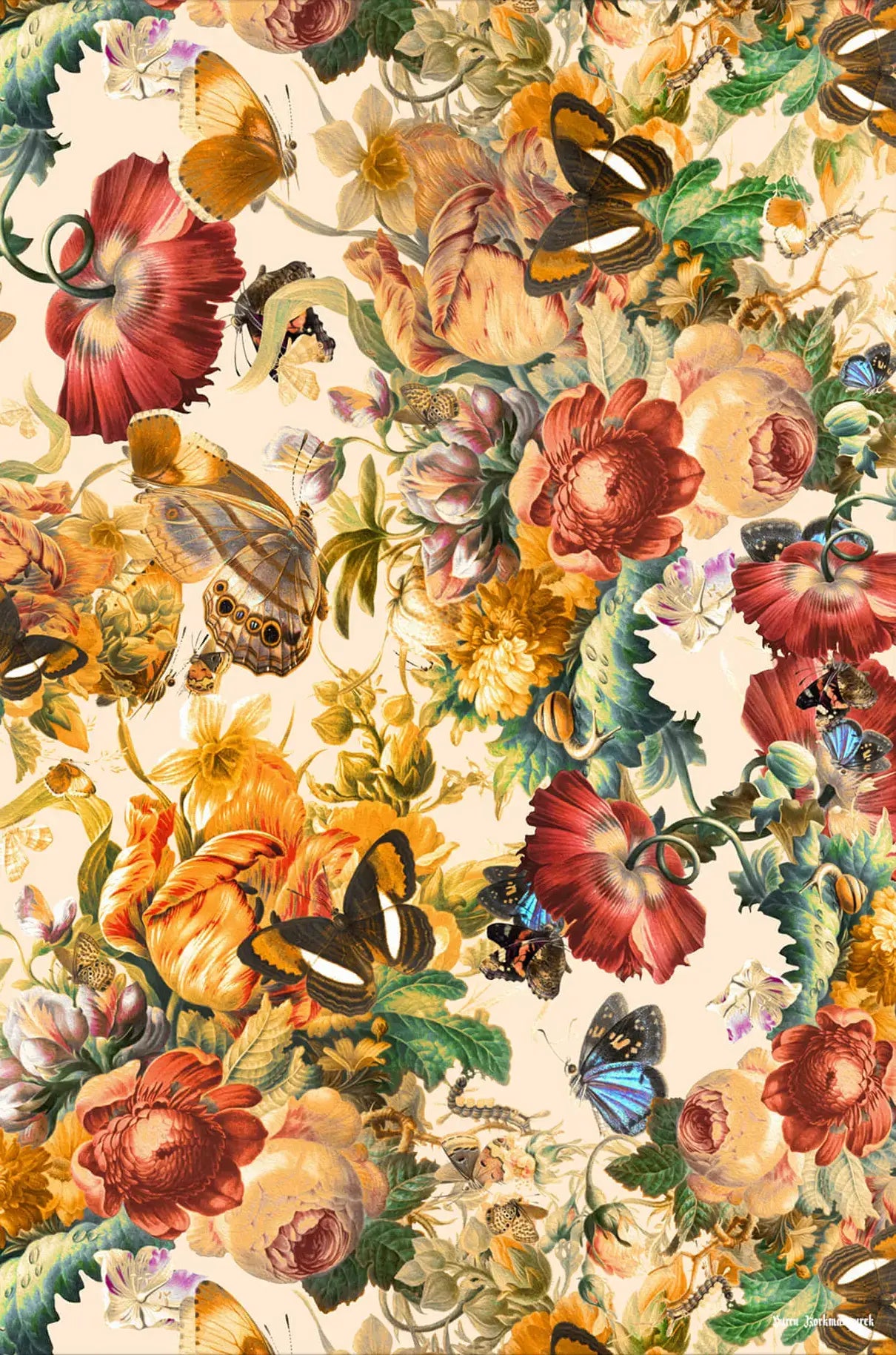 Butterfly and Floral Pattern