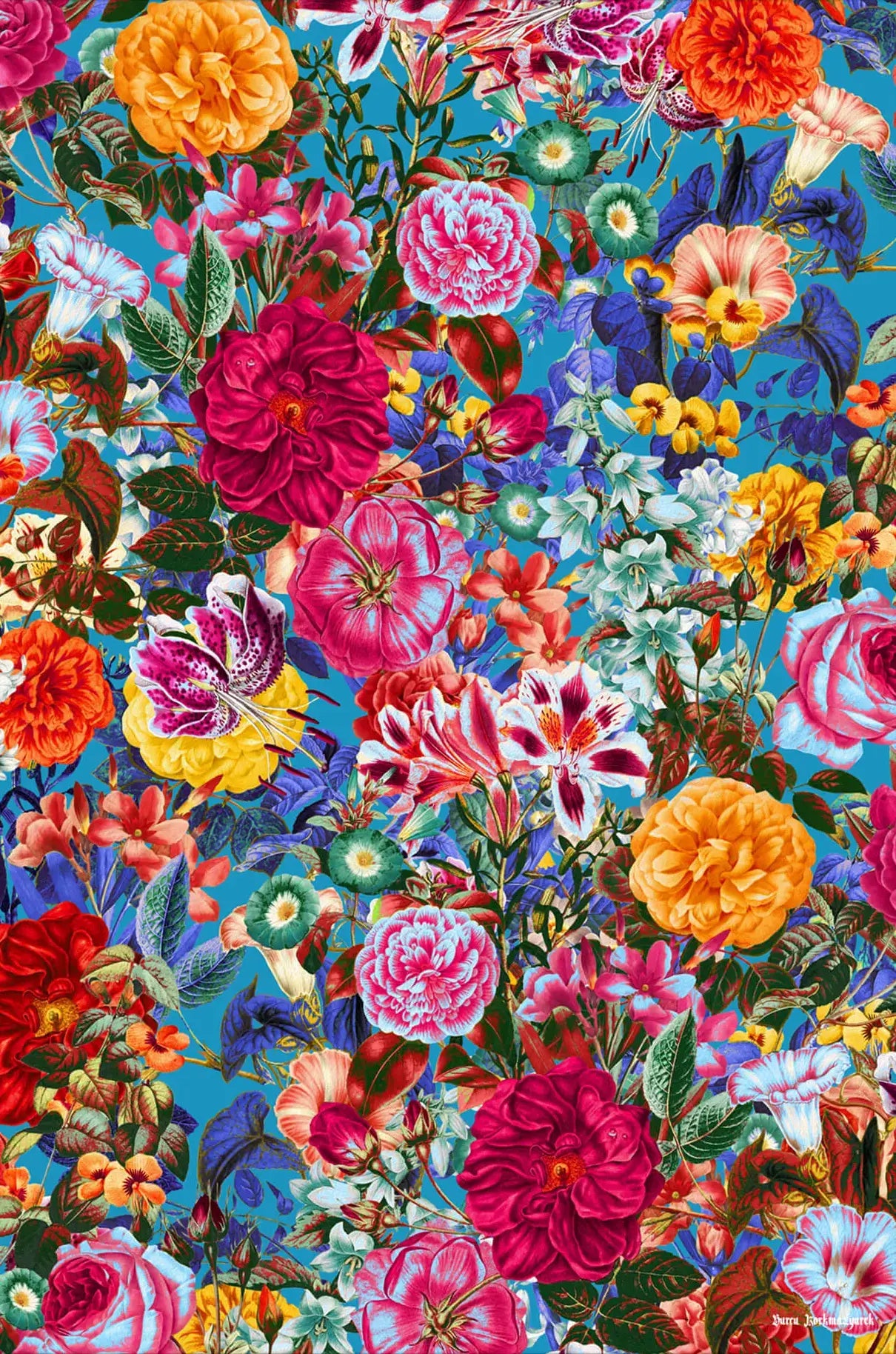 Multicolored Secret Garden