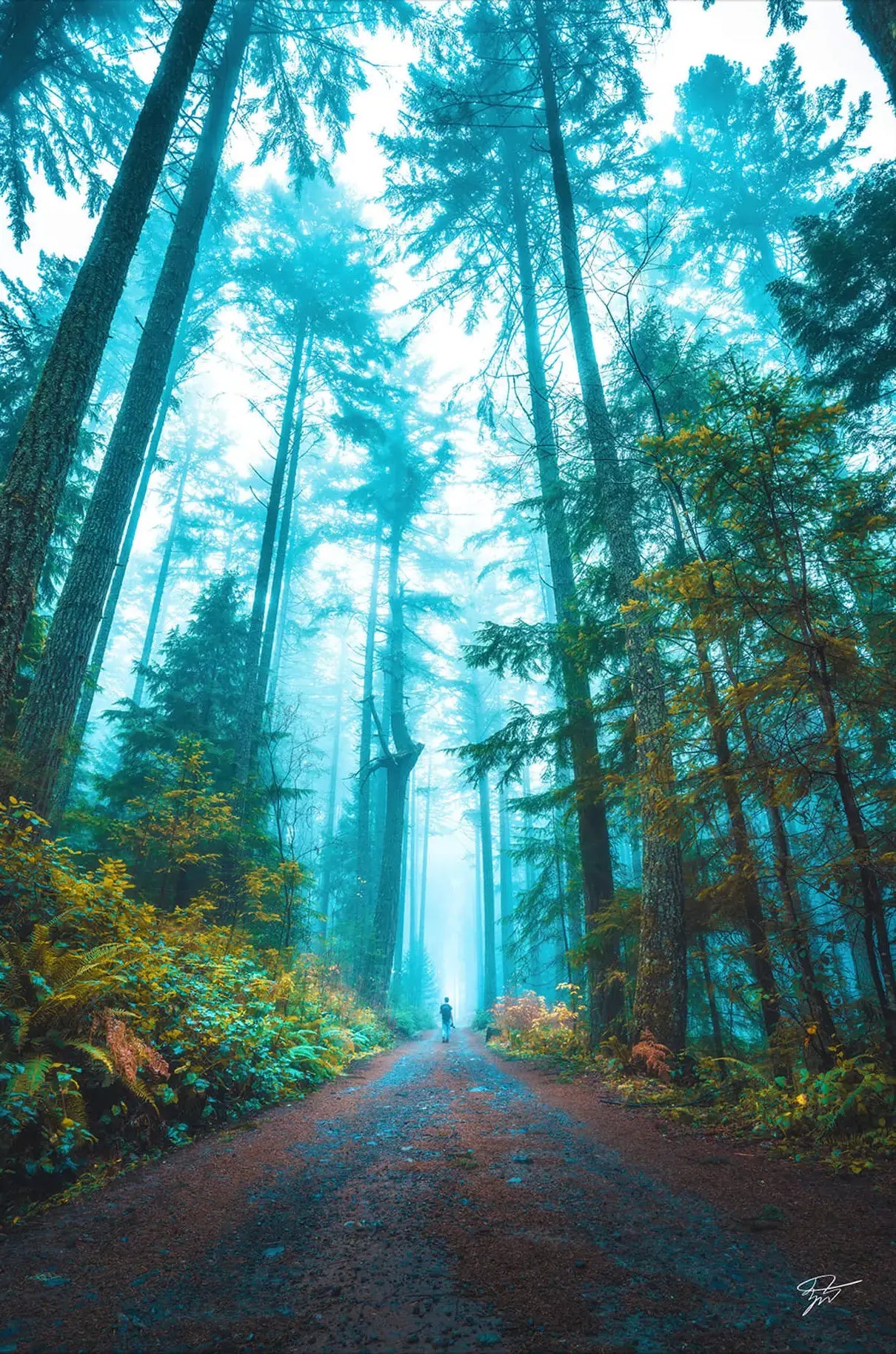 Surrounded By Giants