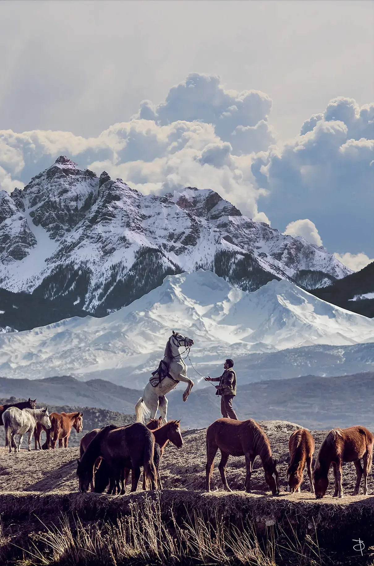 Mountain Wrangler