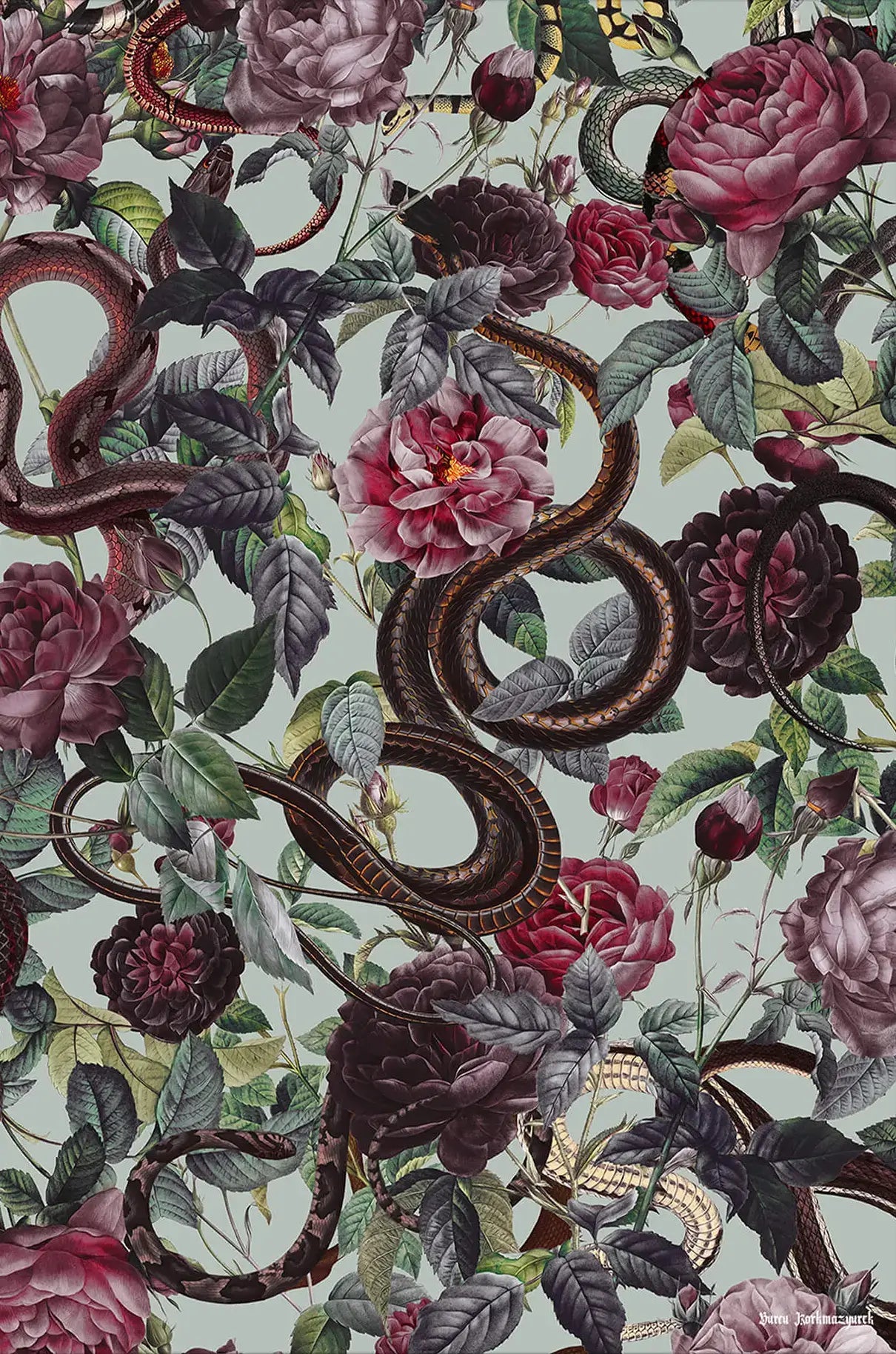 Snakes and Roses