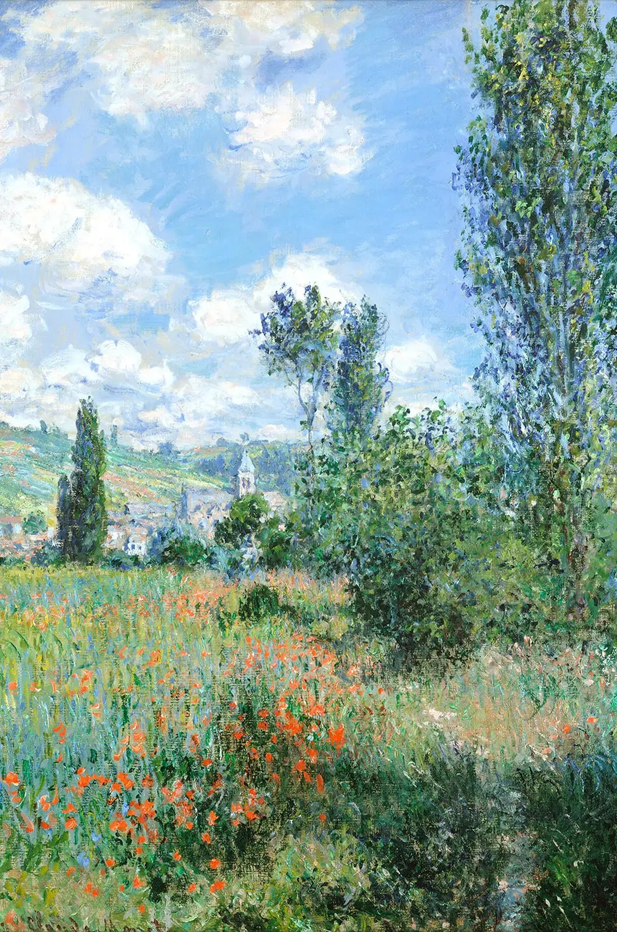 Lane In The Poppy Fields Ile Saint Martin