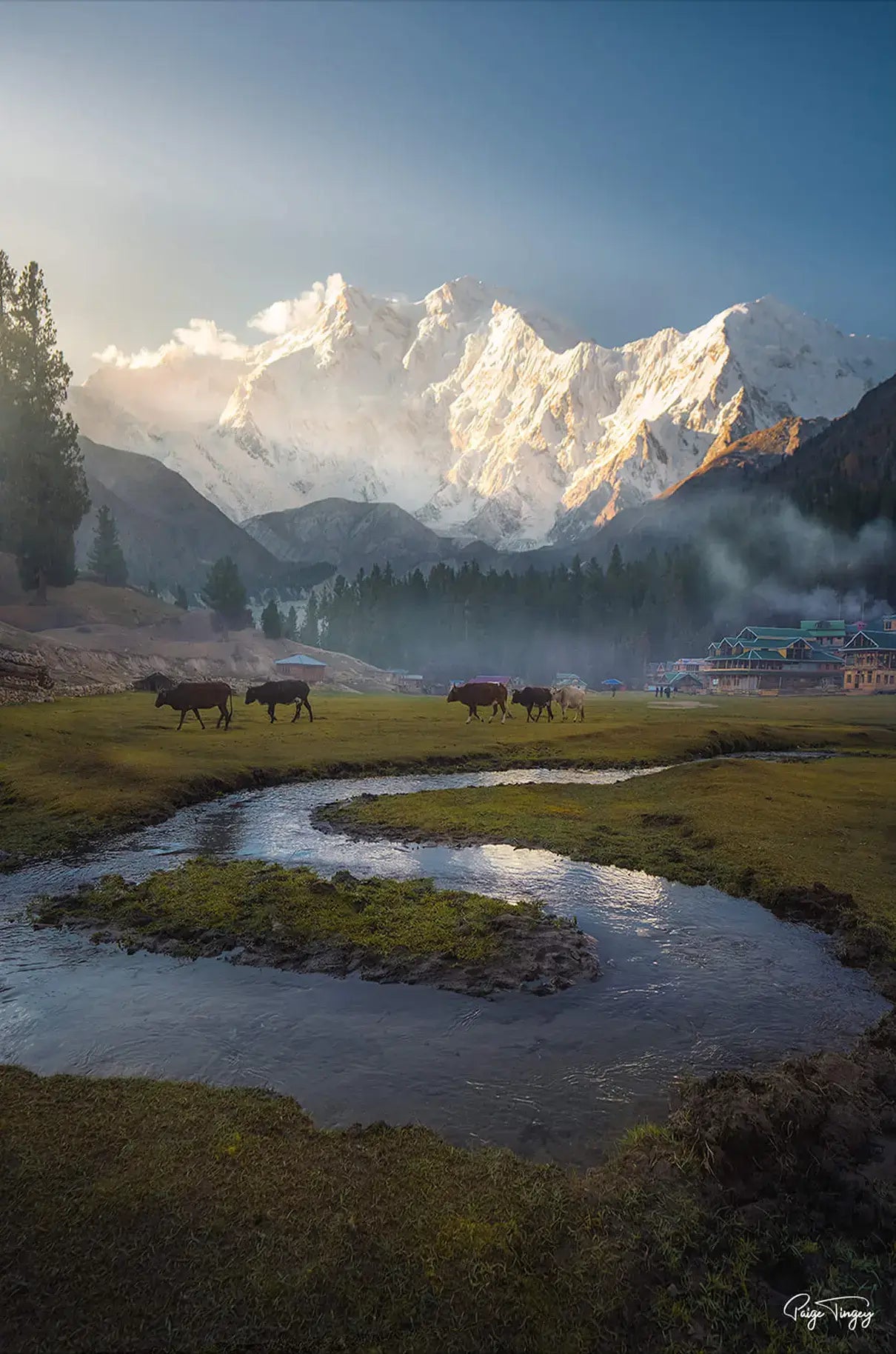 Fairy Meadows