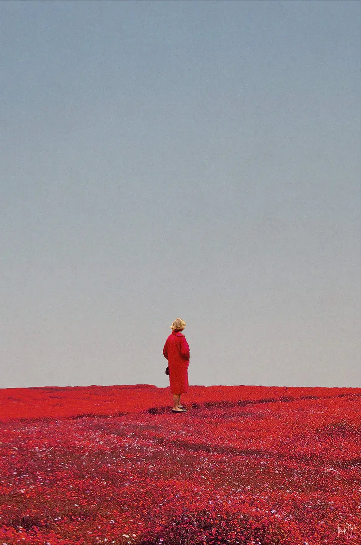 Everything Was Red
