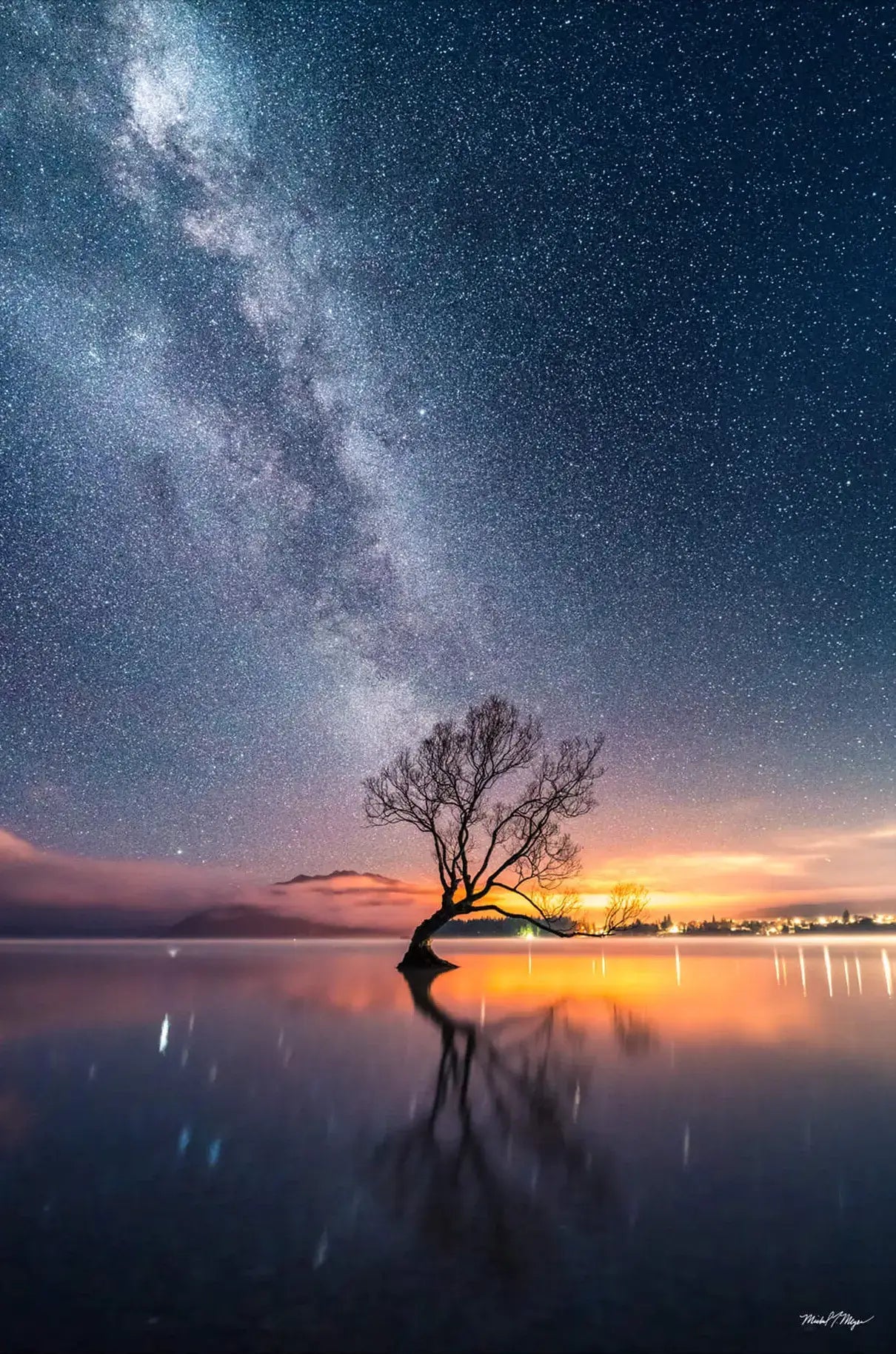Wanaka Tree Milky Way