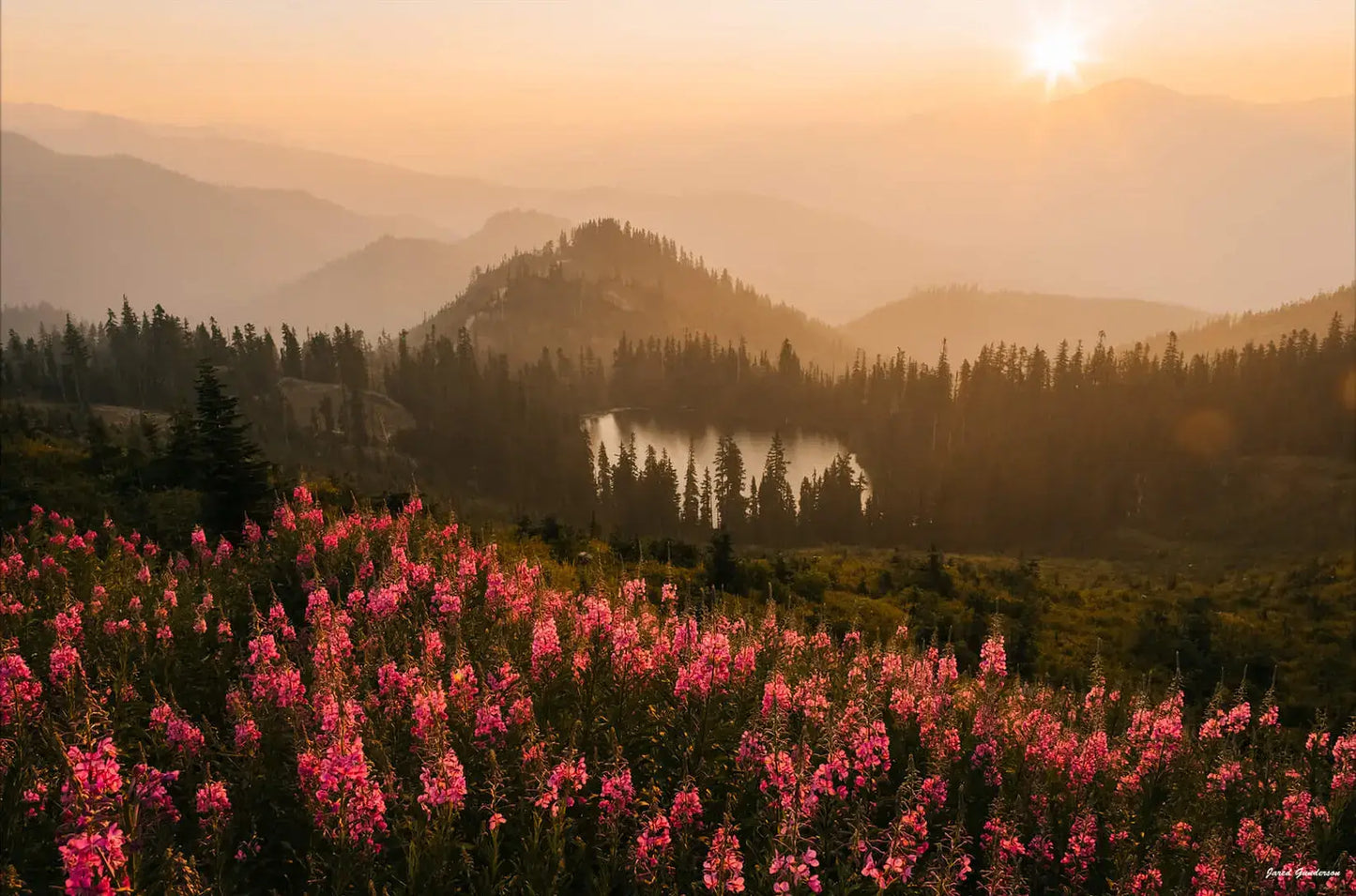Wildflower Island
