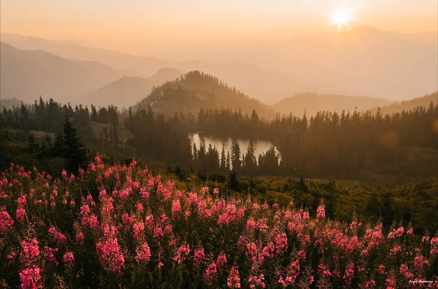 Wildflower Island