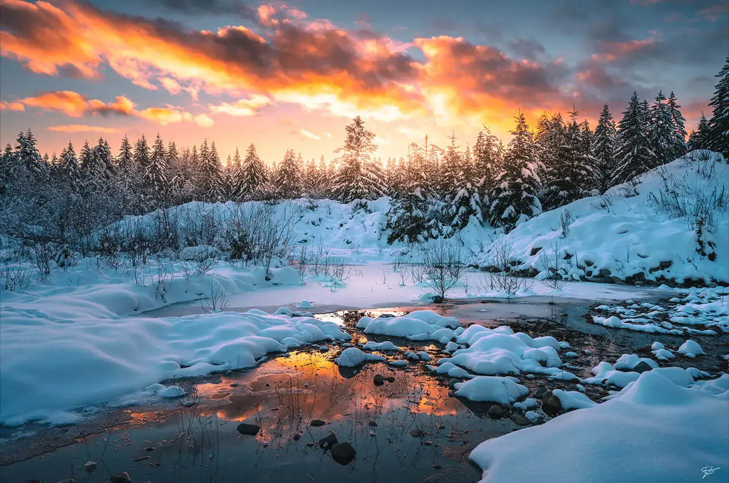 Frost and Fire