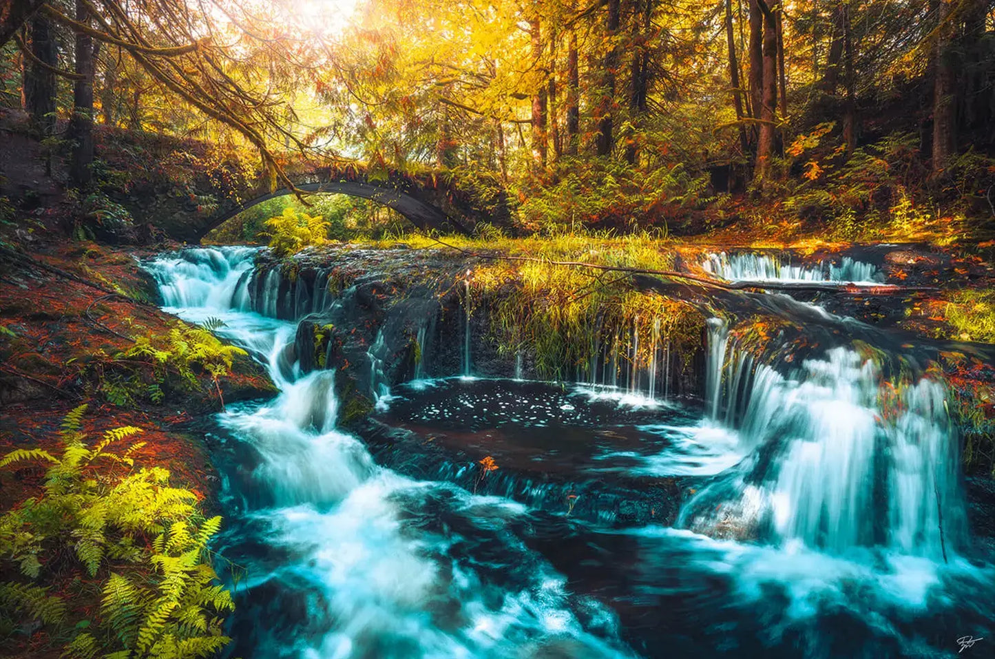Hidden Cascades