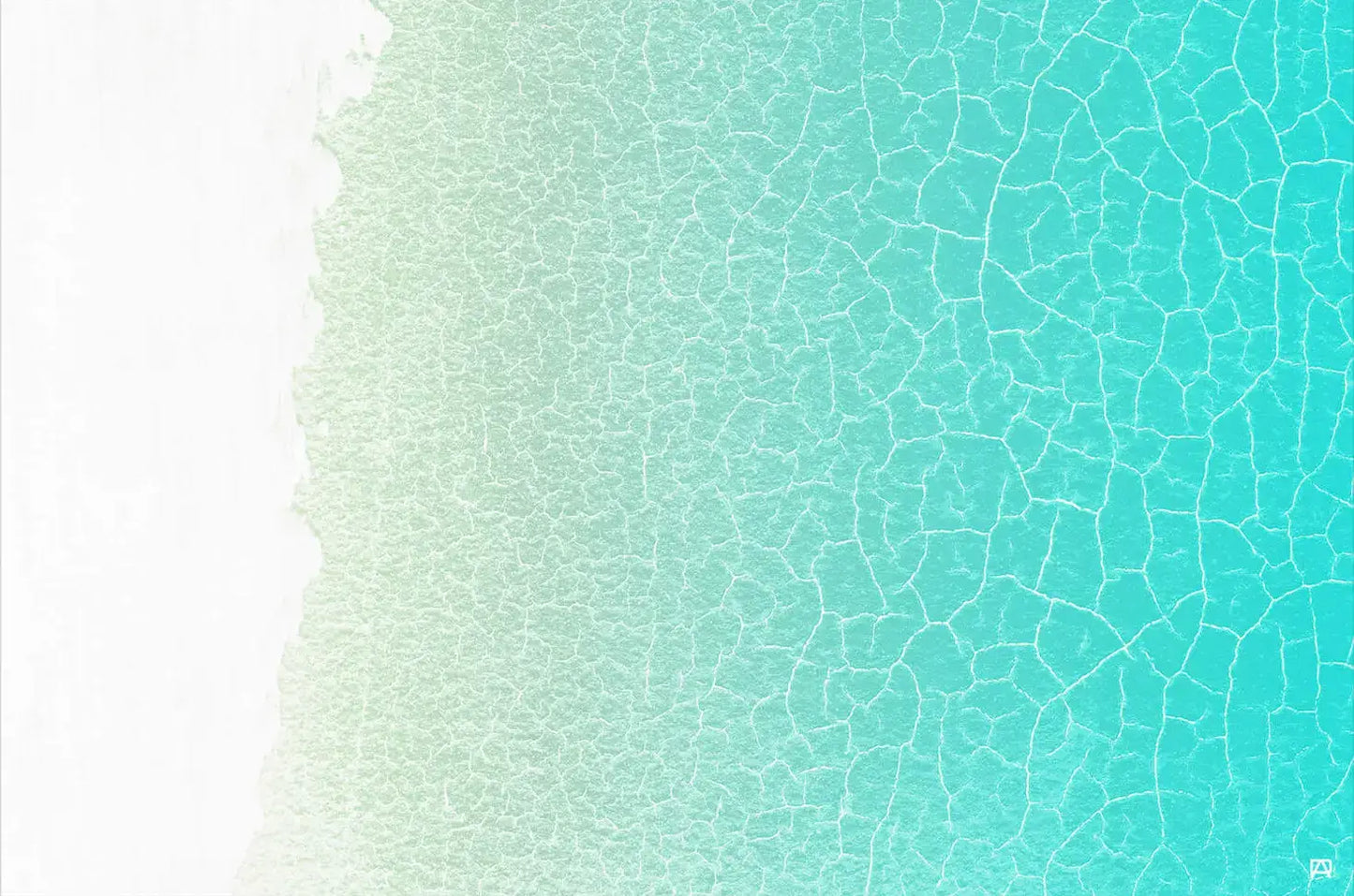 Shallows