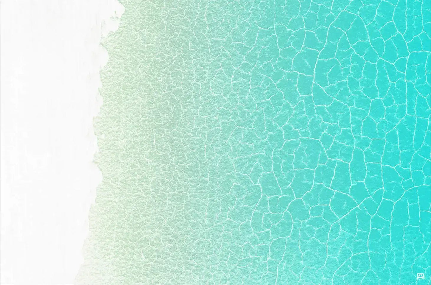 Shallows