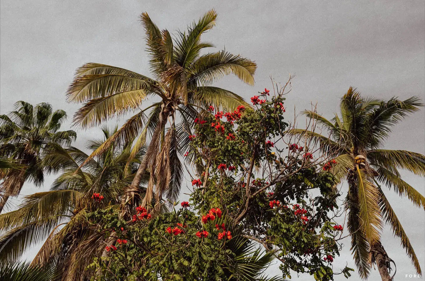 One Day in Mexico