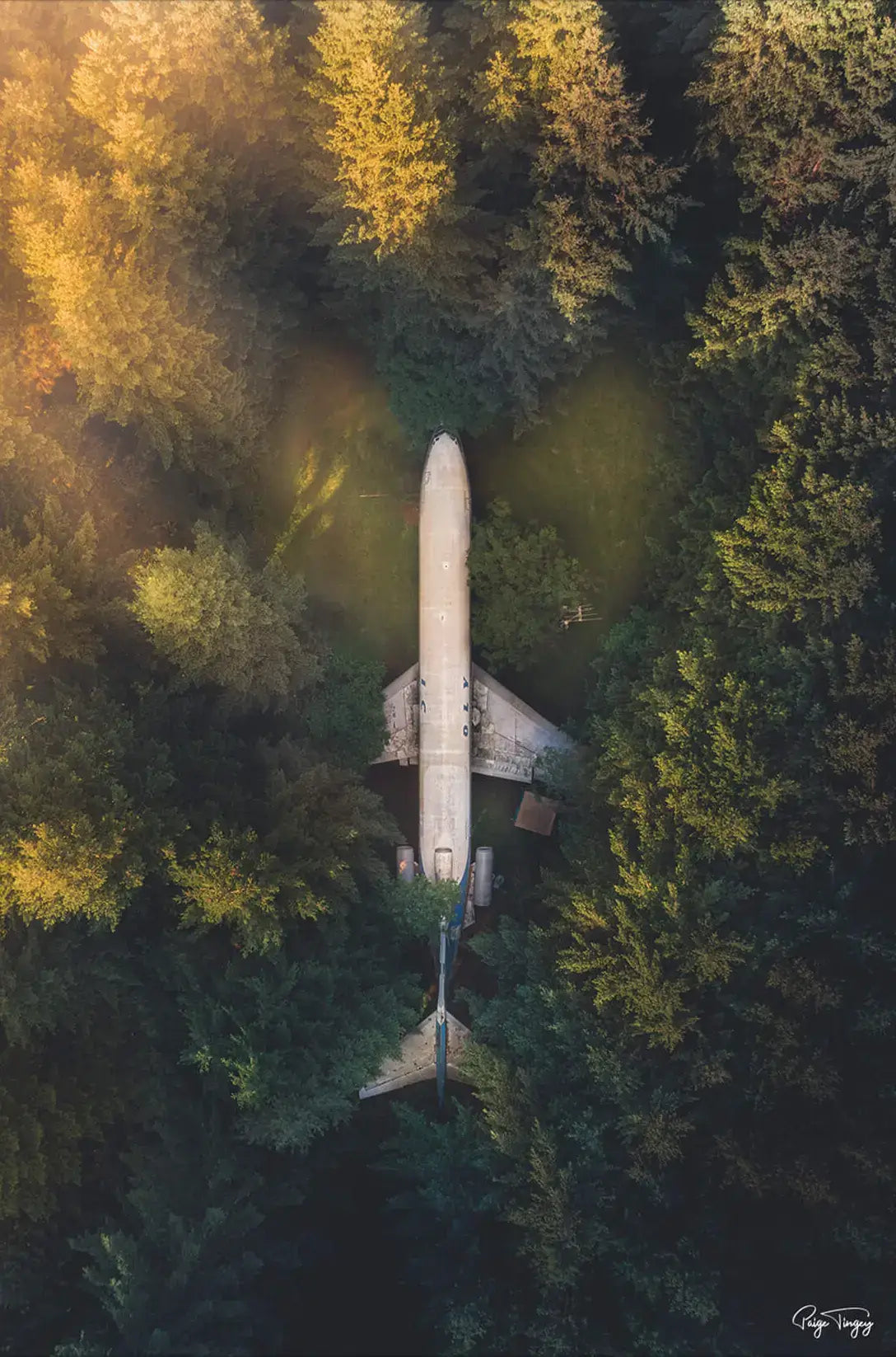 Plane