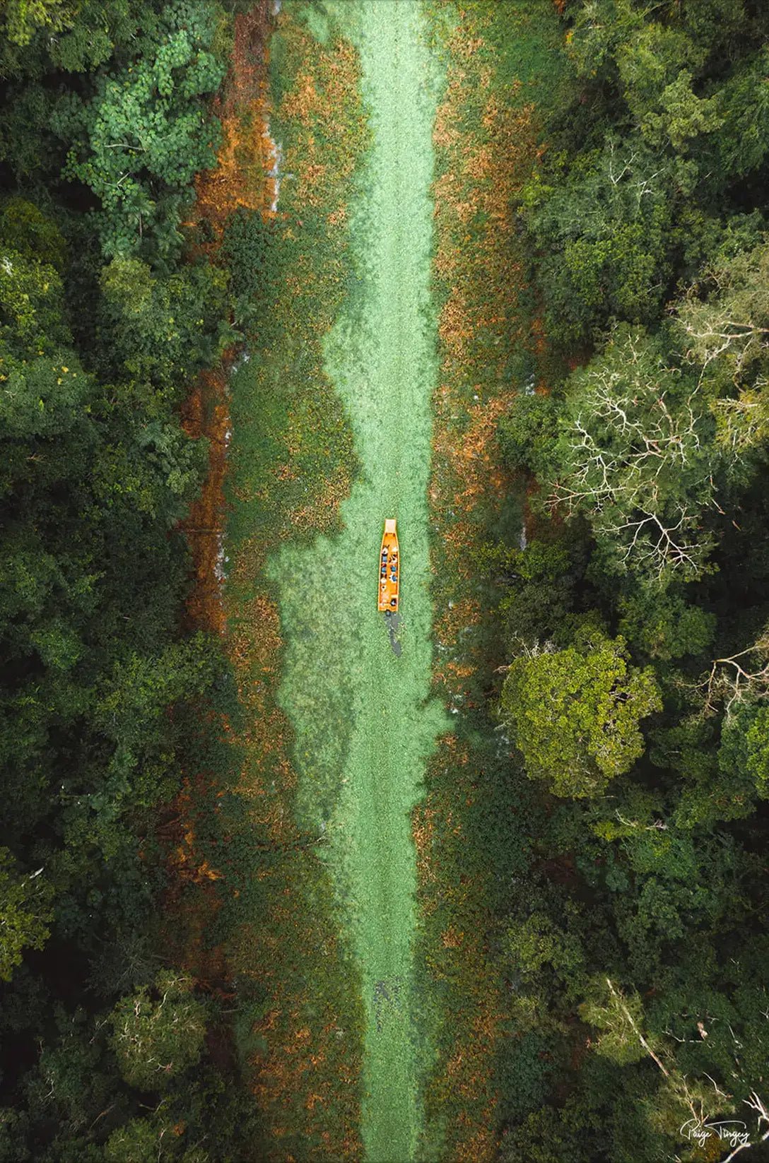 Green River