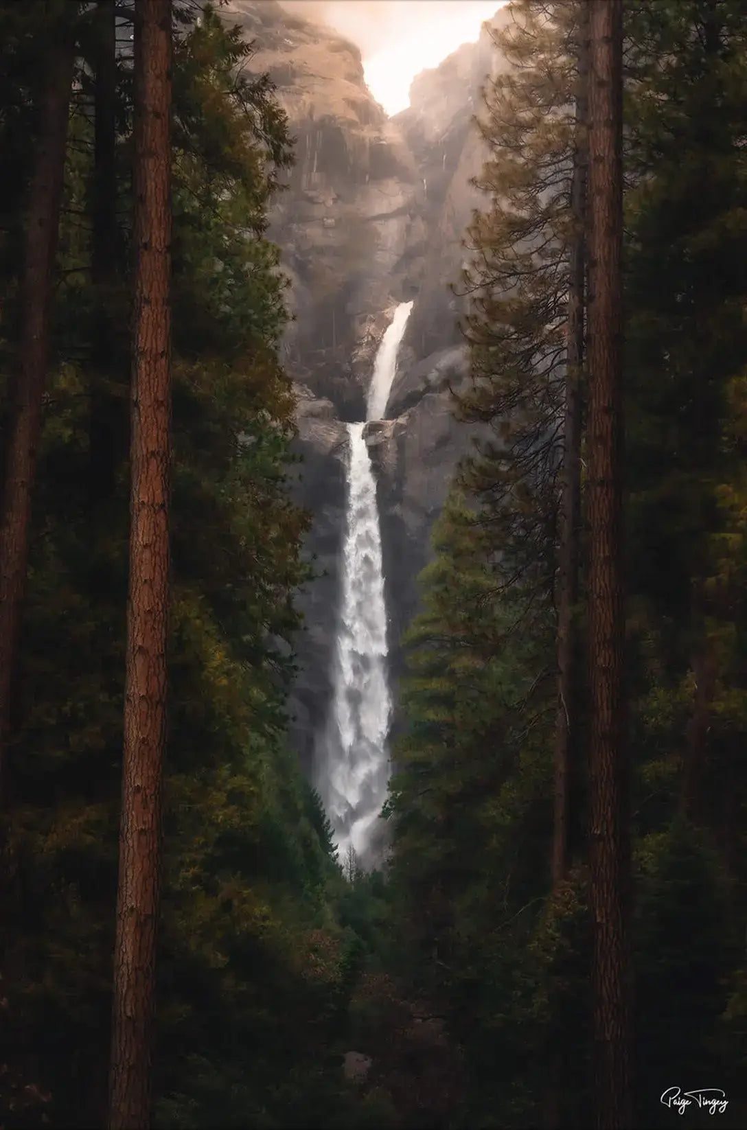 Falling Between the Trees