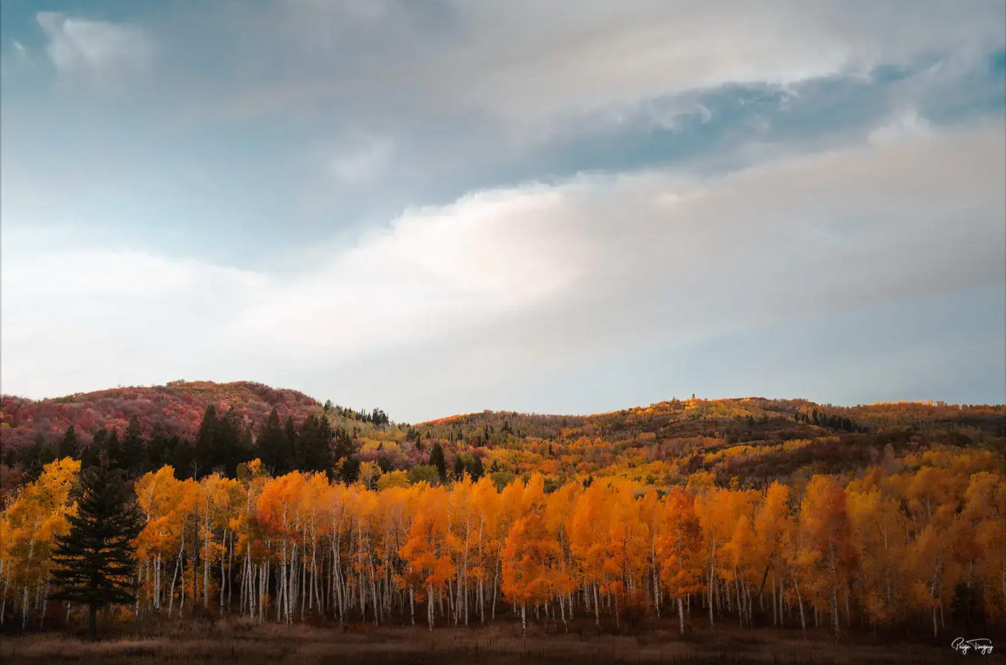 Autumn Hills