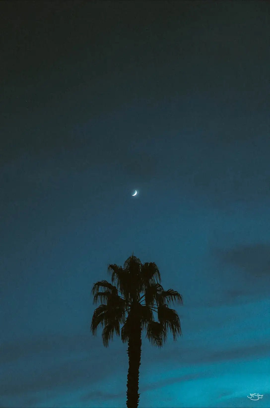 Midnight Moon
