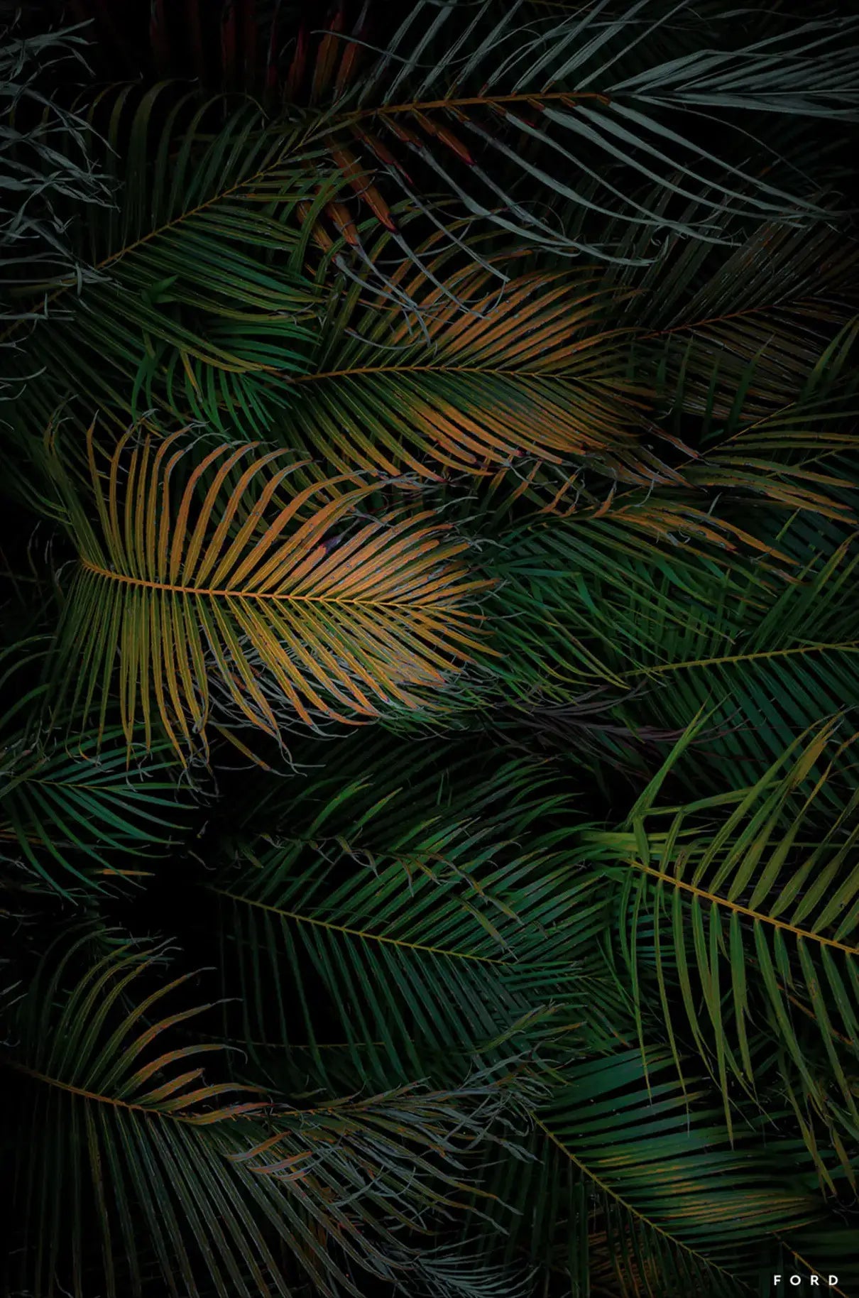 Palm Sundae View