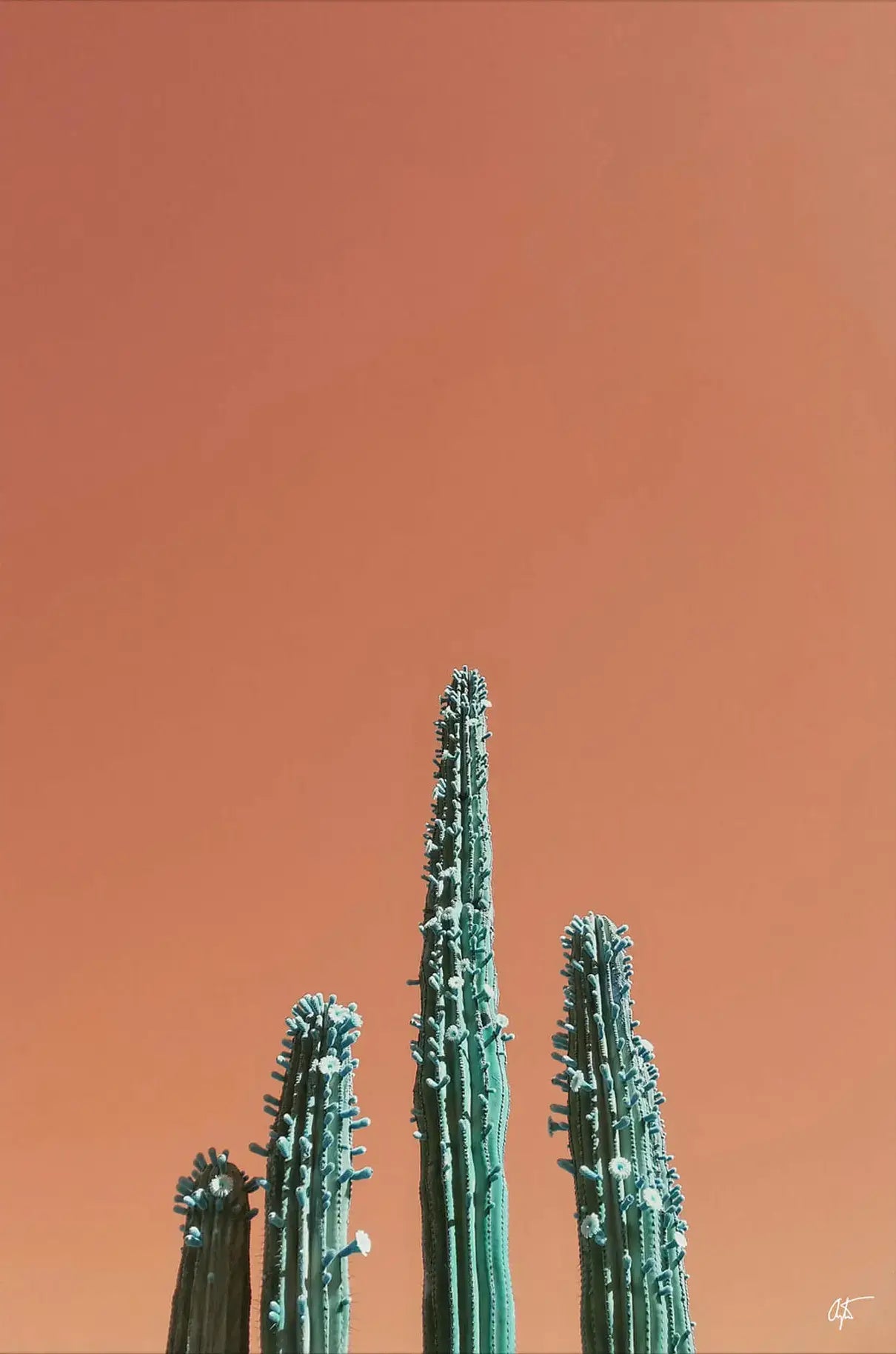 Growth
