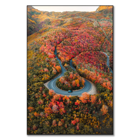Autumn Road