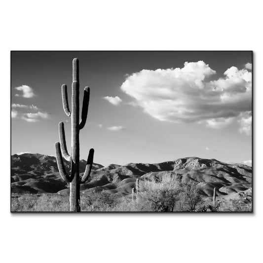 Saguaro Cactus Sunrise