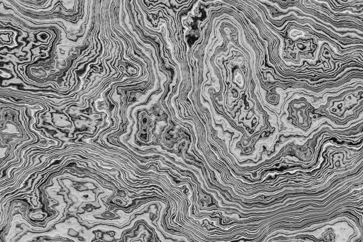 Abstract black and white burl wood pattern.