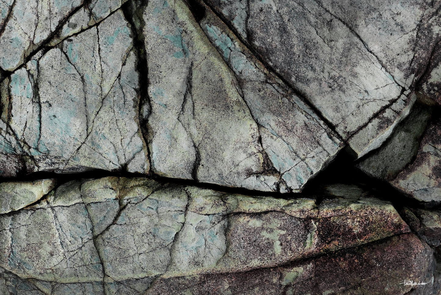 Understory