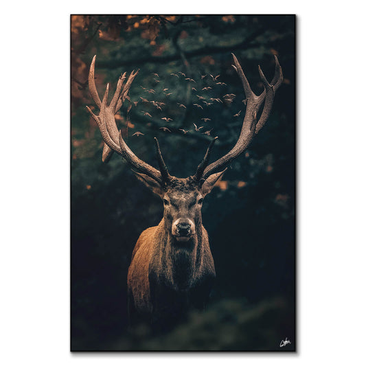 Moody Deer