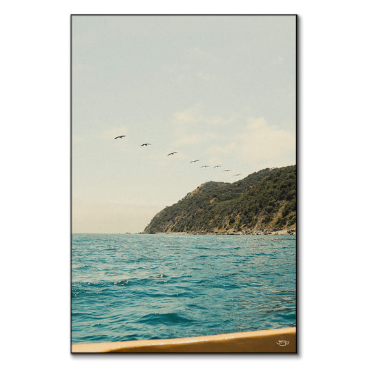 Catalina Island