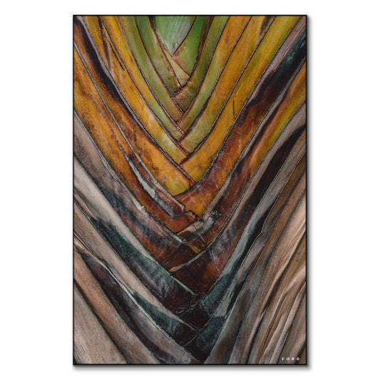 Layers of Life