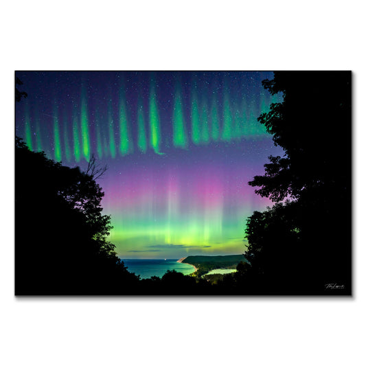 Awakening Bear