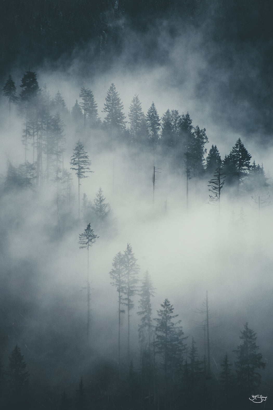 Northwest