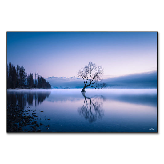 Wanaka Tree