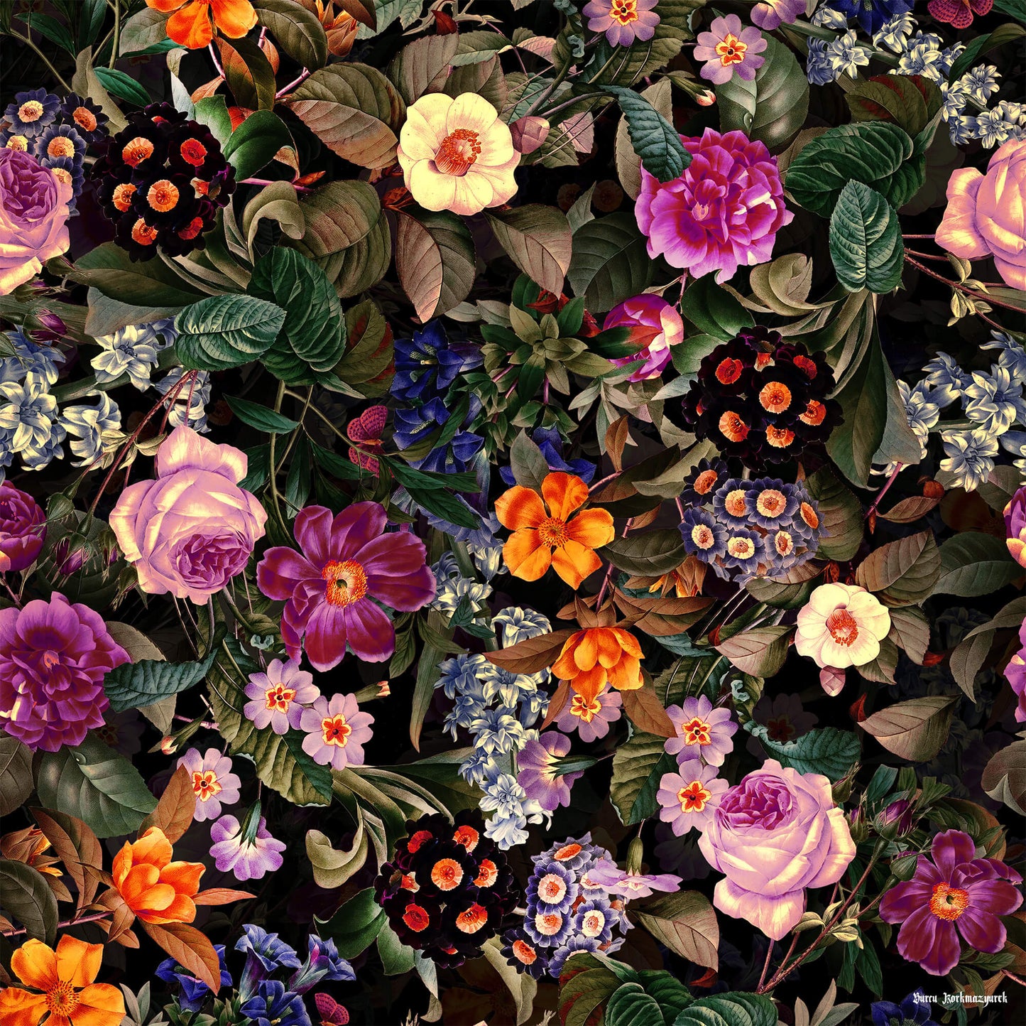 Nighttime Blooms