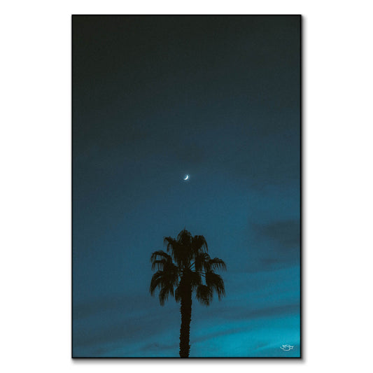 Midnight Moon