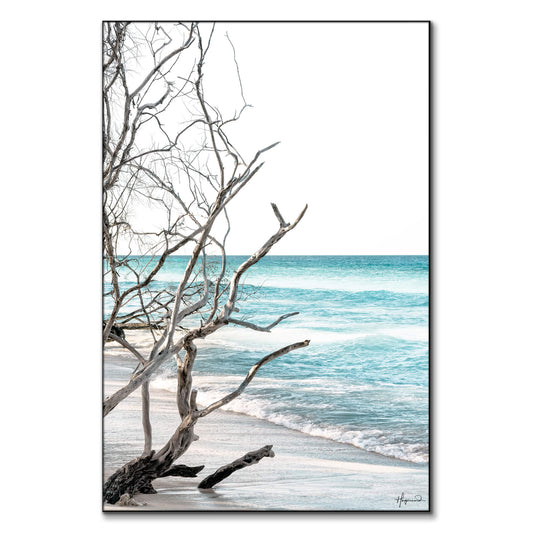 The Wild Beach