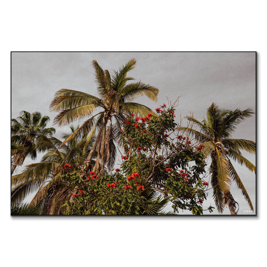 One Day in Mexico