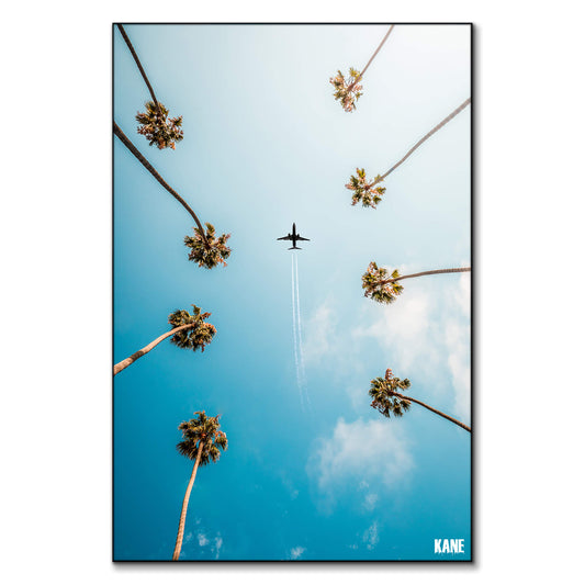 Palm Trees