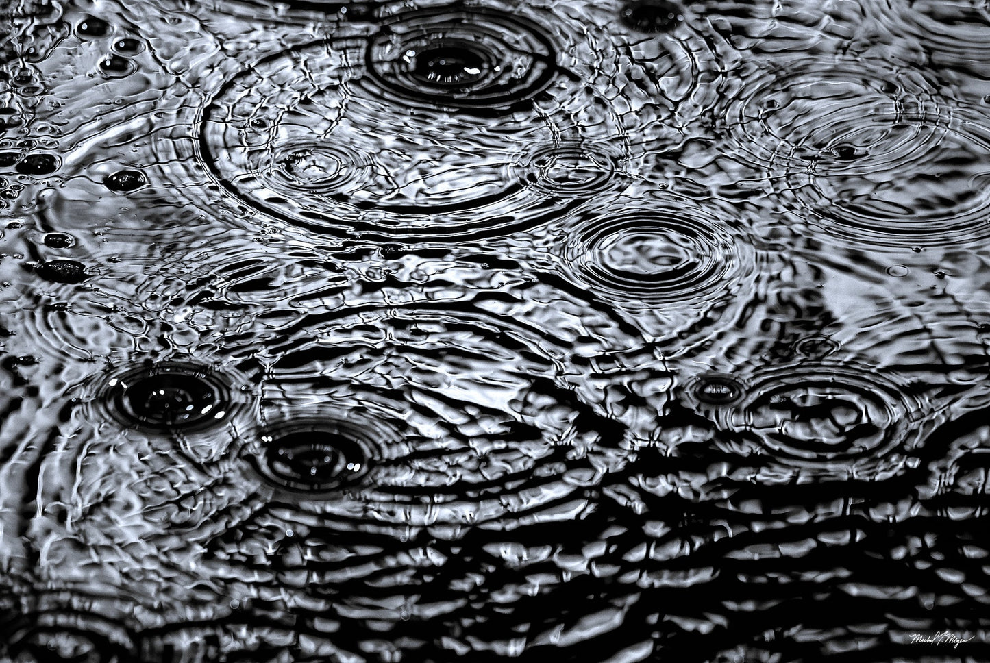 Chromatic Droplets