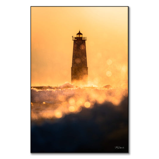 Frankfort Shimmer