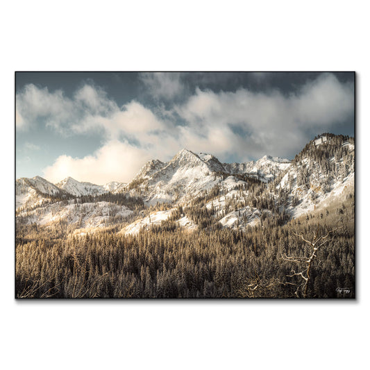 Snowy Peaks