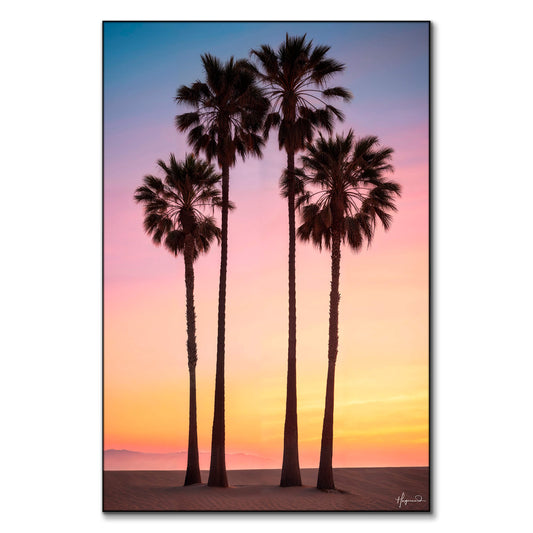 Beach Sunset Palms