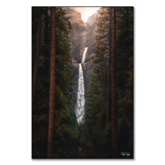 Falling Between the Trees