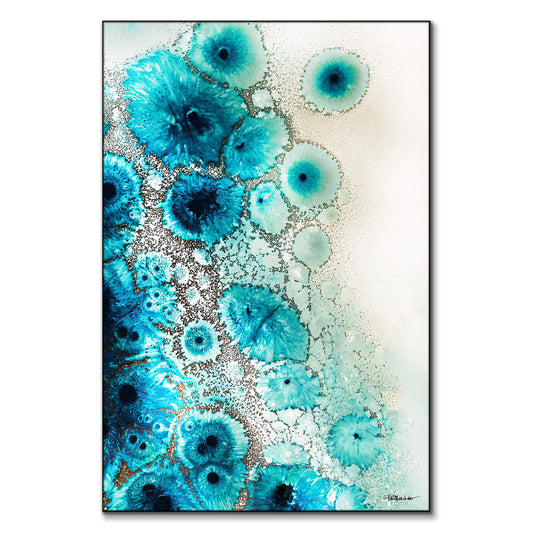Aqua Aurora 3