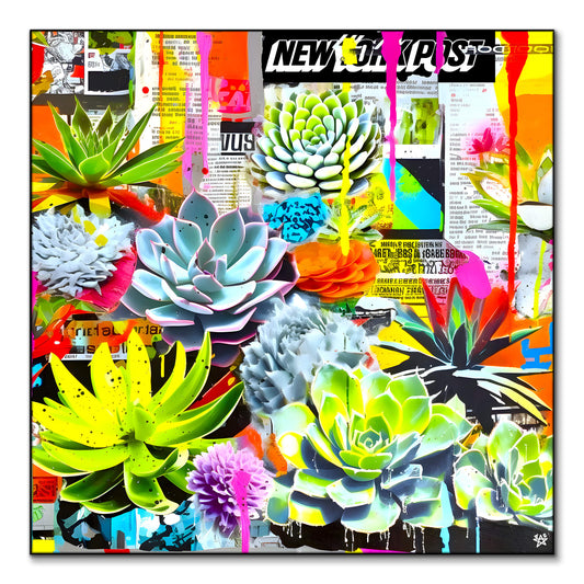 Fluorescent Succulents