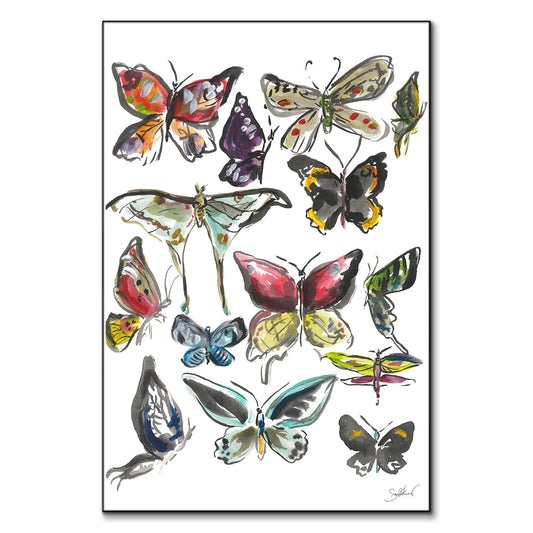 Butterfly Watercolor